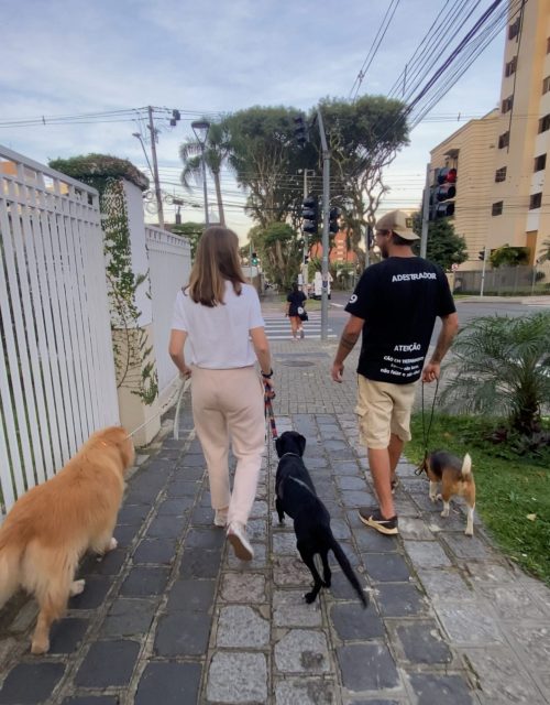 {"exportType":"image_export","editType":"image_edit","data":{},"pictureId":"7A971DD0-7B5C-439D-B399-A0A43565A9AE","tiktok_developers_3p_anchor_params":"{"picture_template_id":"","source_type":"vicut","capability_name":"retouch_edit_tool","client_key":"aw889s25wozf8s7e"}","source_type":"vicut"}